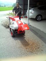 adf34e25.jpg