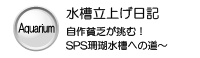 �����Ω�夲����