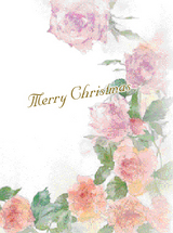1.¥ª¡¼¥í¥éɱ¡¡Çò