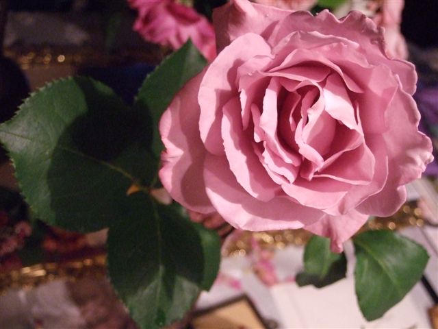 �֥롼�ࡼ��2