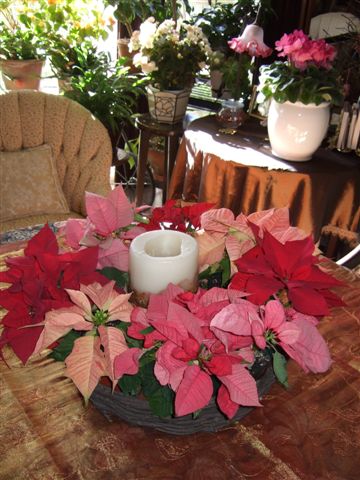2.candle&poinsetia
