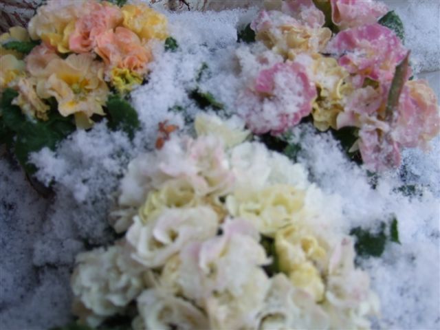 �ݥꥢ�󥵥�