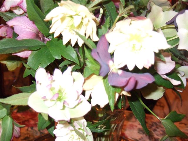 ���ꥹ�ޥ��������Υ֡���8