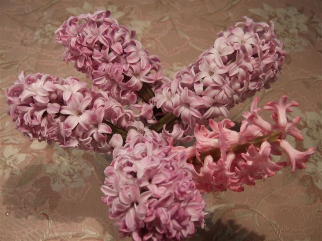 �ҥ䥷��2