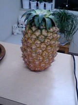 完熟パイン