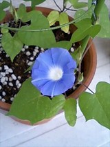 b006876d.