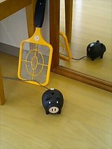 蚊取りコンビ