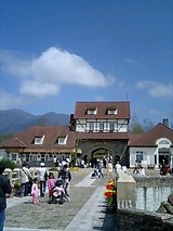 �֥롼�������