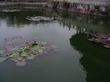 �r