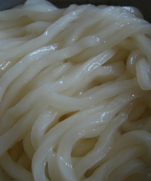 大地のうどん70