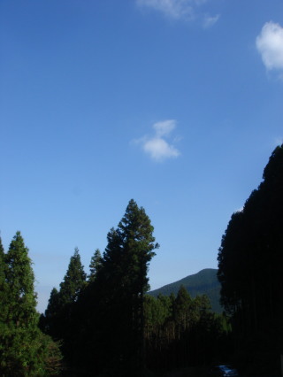 �渶��31