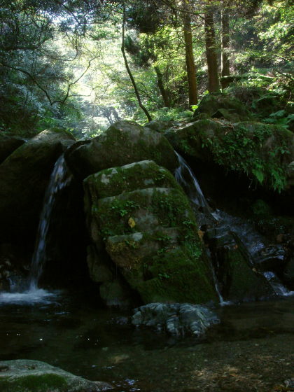 井原山28