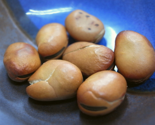 ��ε�������Ż�15