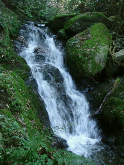 井原山25