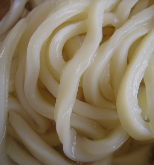 岸井うどん52