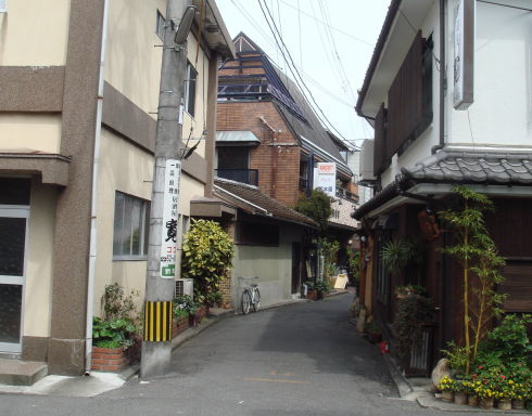 ���ڲ������ϻ�52