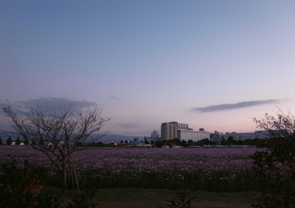 キリンビール甘木工場10