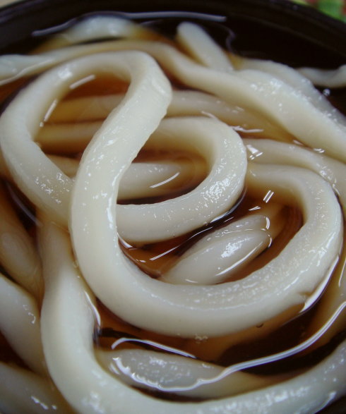 柳川うどん24