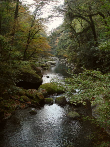 菊池渓谷31