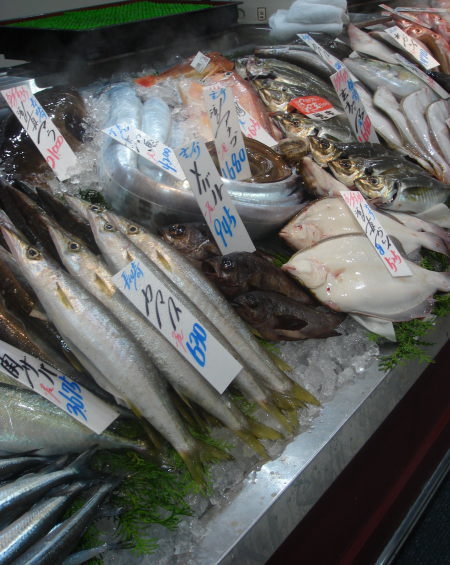 鮮魚10