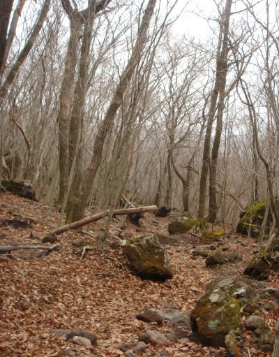 ͳ�۳�58