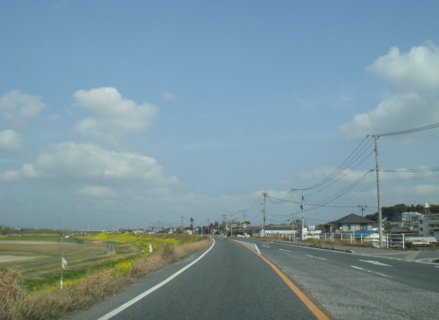 �̶彣10