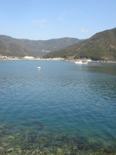 �顼�����������20