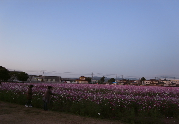 キリンビール甘木工場13
