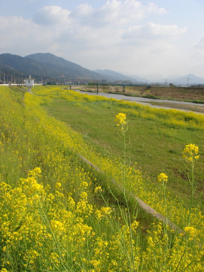 添田町10