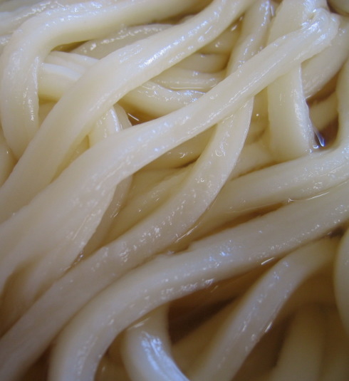 牟礼製麺@志度51