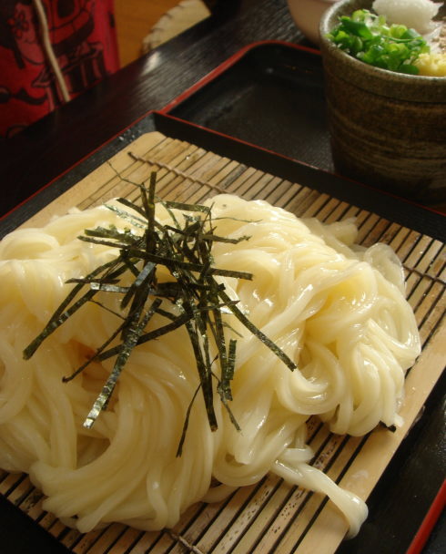 大地のうどん20