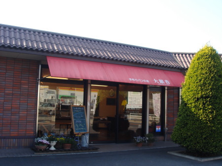 大銀杏11