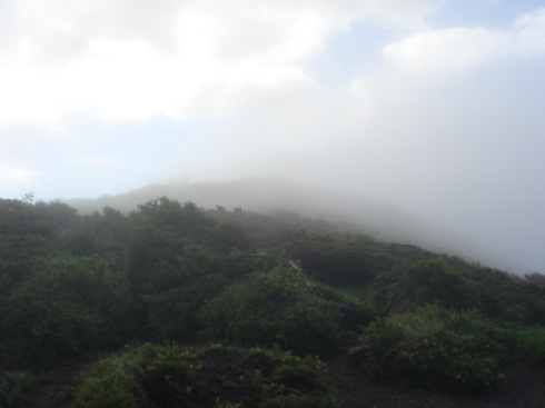大船山95