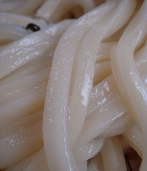 柳川うどん23
