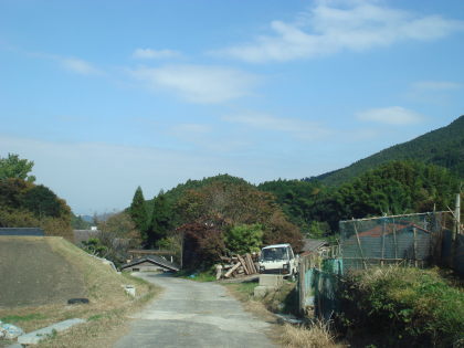 �渶��37
