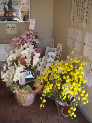 ���᤽�в��ʤ��֡ˡ�����Į37