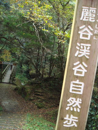 耶馬渓41
