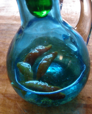 ��Τ����17