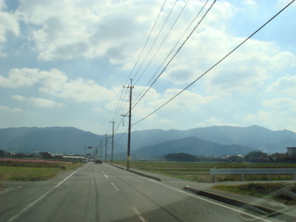 �渶��40