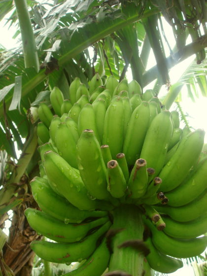 ���á�Ȭ����Į12