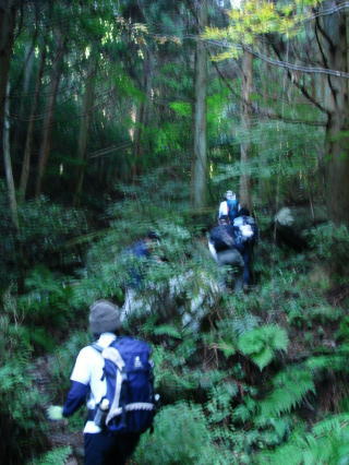 井原山14