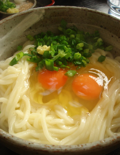 大地のうどん50