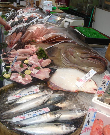 鮮魚11