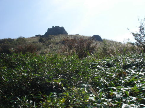 ʡ�һ�54