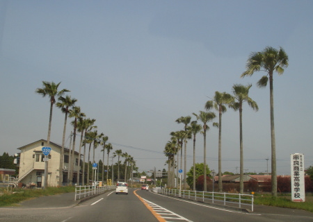 ����Į�ʼ����縩��10