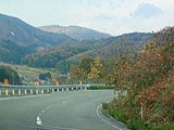 bce14e84.jpg