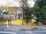 CA332972