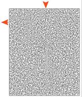 419d8b5e.JPG
