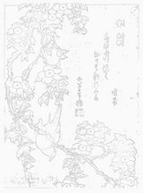 葛飾北斎 鶯垂桜図 ぬり絵