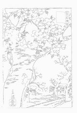 広重 三十六歌撰 東都小金井 ぬり絵